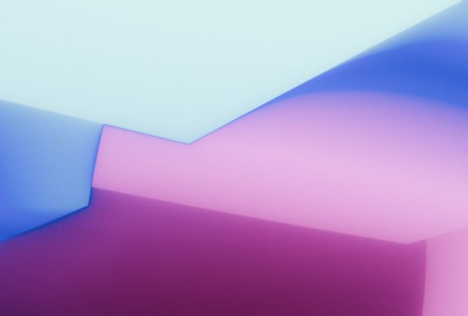 pexels-steve-29355999